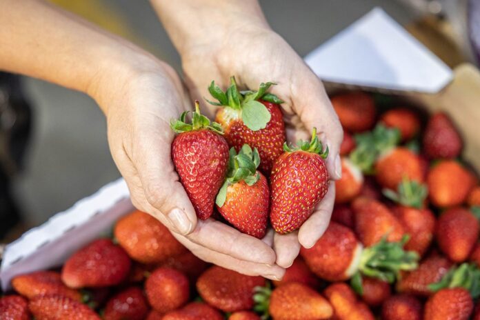 Frutillas