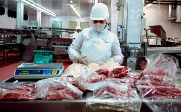 Repuntó la actividad económica en marzo, pero falta