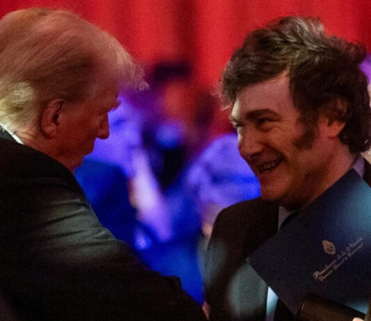 Milei defenderá el mundo occidental en Davos