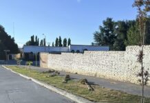 Enojo en Zapala por un nuevo ataque a los árboles