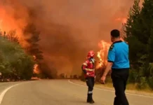 Fuego sin tregua en Chubut: piden extrema precaución en la Ruta 40