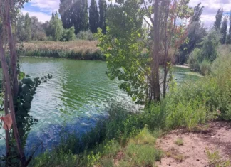 Peces muertos: Provincia realizó inspecciones ambientales
