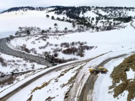 Se licita la pavimentación de una ruta clave cerca de Zapala