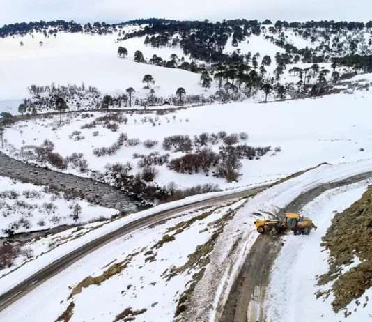 Se licita la pavimentación de una ruta clave cerca de Zapala