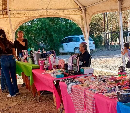 Llega la Fiesta del Productor y Artesano “a su mesa”, este sábado