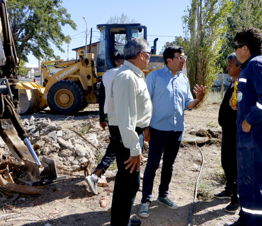 Verde Corazón se prepara para su nueva sede