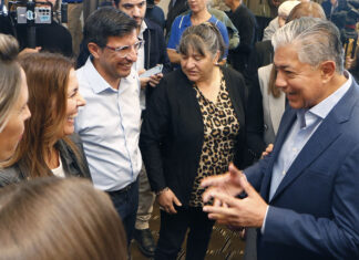 “Hoy Senillosa está posicionada como una ciudad de vinos”