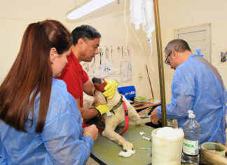 Las castraciones gratuitas son un éxito en Senillosa