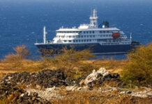 La OMS confirmó un segundo caso de hantavirus en el crucero