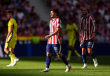Araña enredada: ahora se ausentó del entrenamiento