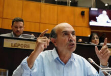 Más ojos para la Policía: proponen sumar las cámaras privadas