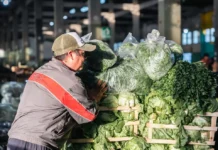 Verduras a precio mayorista, también los sábados