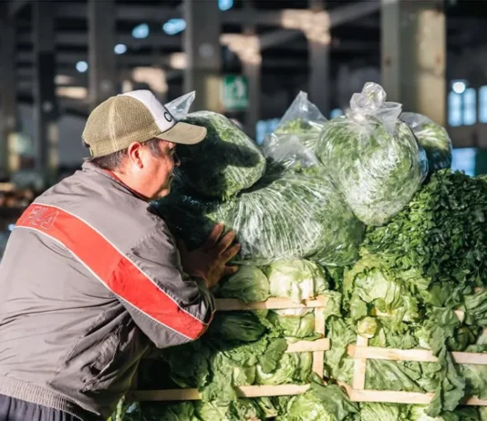 Verduras a precio mayorista, también los sábados